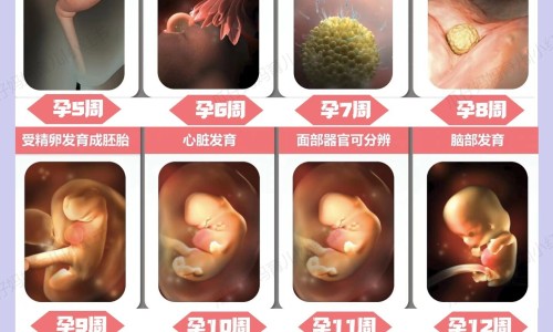 通脉颗粒与性功能主治网 - 为你提供通脉颗粒可以长期吃吗、通脉颗粒说明书